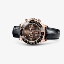 Rolex Daytona Everose Cerachrom Chocolate (116515ln-0004)