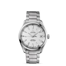 Omega Seamaster Aqua Terra 150m Co-Axial 41.5mm Silver (231.10.42.21.02.001)