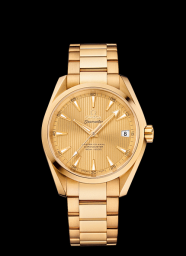 Omega Seamaster Aqua Terra 150m Master Co-Axial 38.5mm Gold / Yellow (231.50.39.21.08.001)