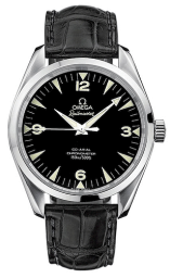 Omega Seamaster Aqua Terra Railmaster (2803.52.31)