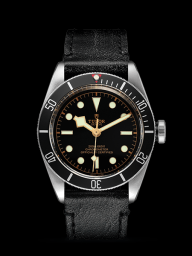 Tudor Heritage Black Bay Black 2016 (79230n-0001)